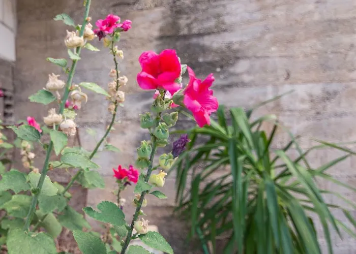 Cosic Appartement Duće